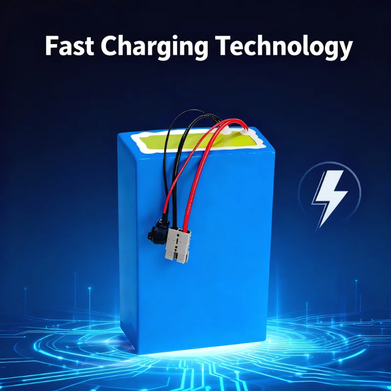 BMS 72V Lithium-Ion Battery Pa - Electric Bicycle Battery 72V 30Ah review and price