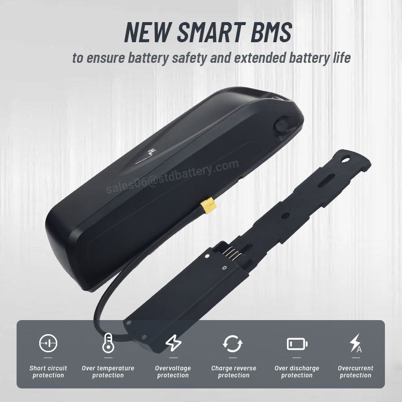 Hailong EBike Battery 36V 48V  - Ebike Battery 48V 20Ah Hailong review and price