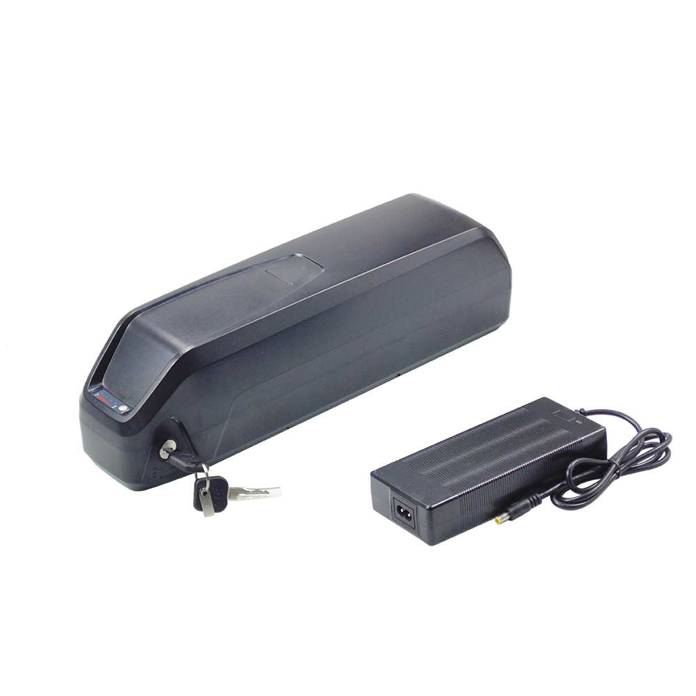Hailong 48V 13Ah 15Ah 17.5Ah E - Ebike Battery 48V 20Ah Hailong review and price